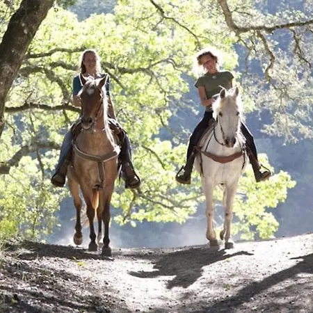 Ranc Polo Velka Sobe